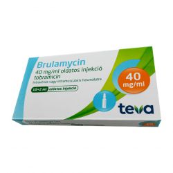 Бруламицин раствор для инъекций 40мг/мл 2мл! (80мг) ампулы №10 в Черкесске и области фото