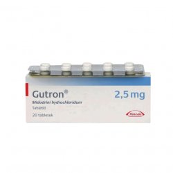 Гутрон таблетки 2,5 мг. №20 в Черкесске и области фото