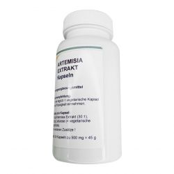 Артемизинин 150 мг капс. 60шт в Черкесске и области фото